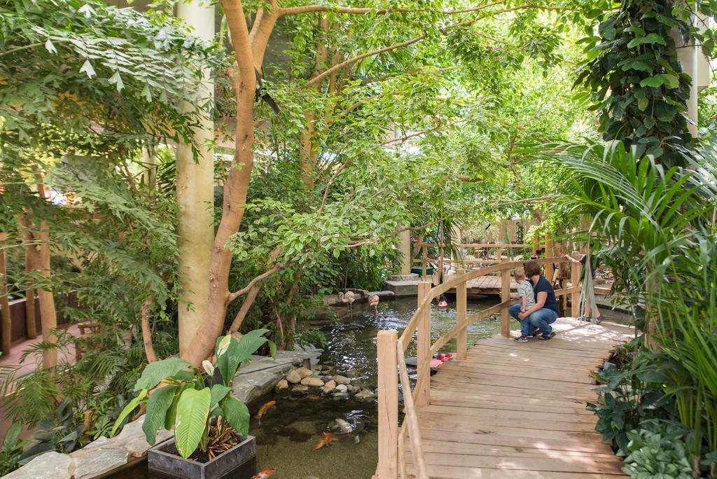 Center Parcs Port Zelande Beach Ouddorp Ngoại thất bức ảnh
