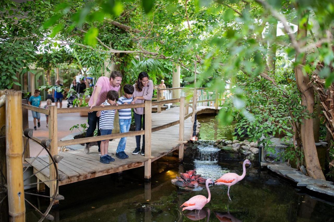 Center Parcs Port Zelande Beach Ouddorp Ngoại thất bức ảnh